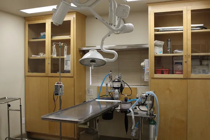 Ashton Animal Hospital 7