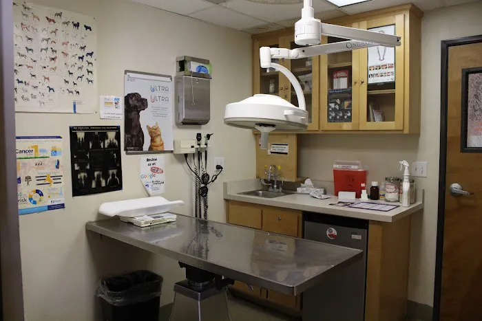 Ashton Animal Hospital 6