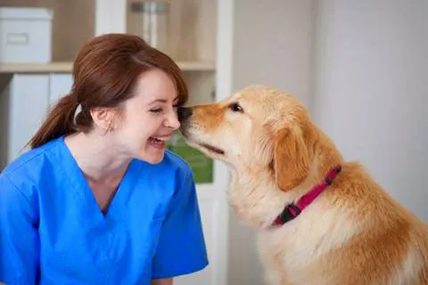 Ashton Animal Hospital 1