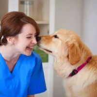 Ashton Animal Hospital ico