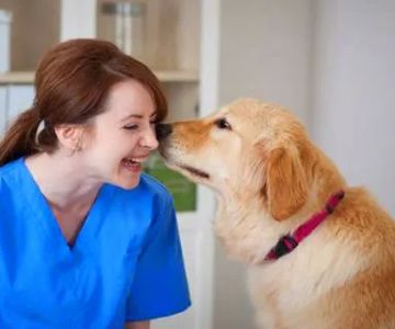Ashton Animal Hospital