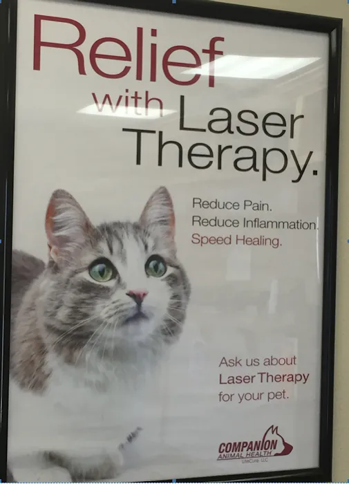 Ashton Animal Hospital 9