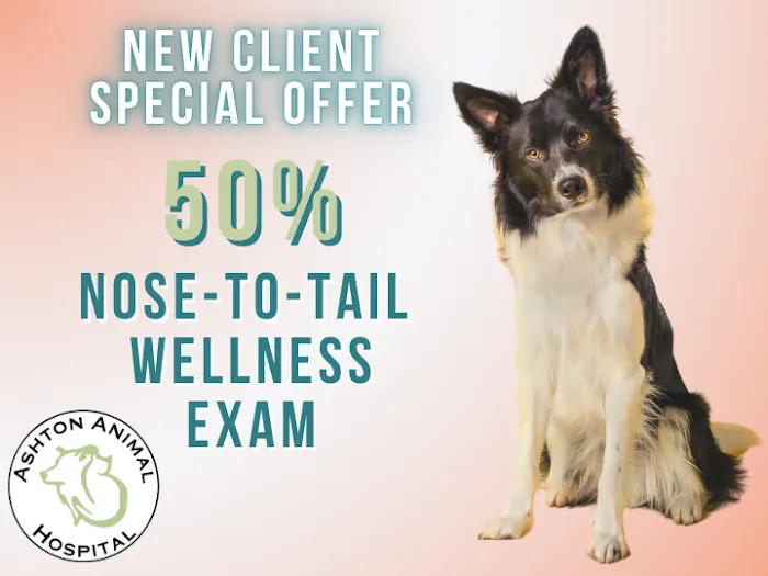 Ashton Animal Hospital 10