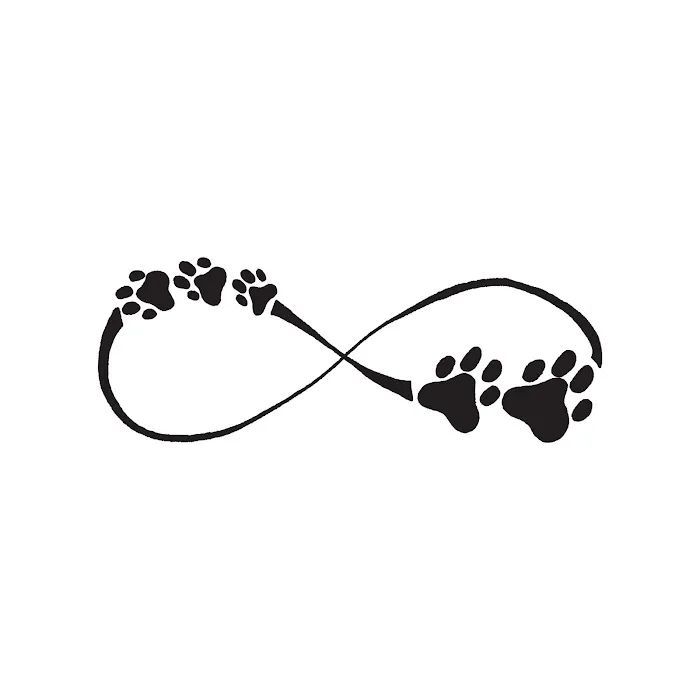 Dr Marchi, Pet Euthanasia at Home 3