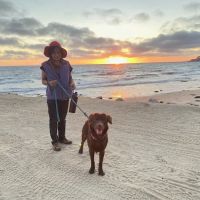 Above & Beyond Pet Care Clinic ico