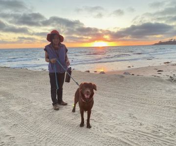 Above & Beyond Pet Care Clinic