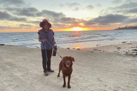 Above & Beyond Pet Care Clinic