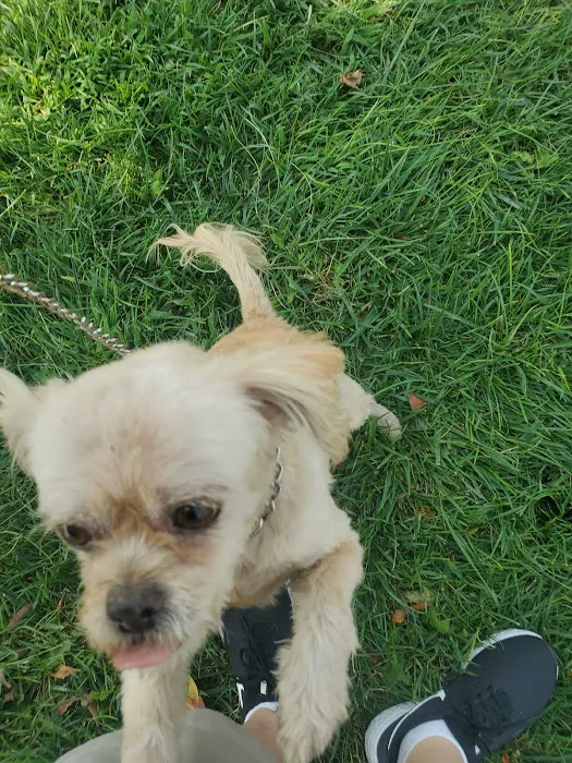 Above & Beyond Pet Care Clinic 12