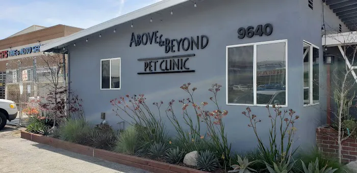 Above & Beyond Pet Care Clinic 12