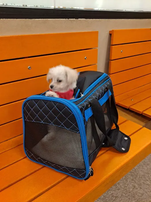 Banfield Pet Hospital 12
