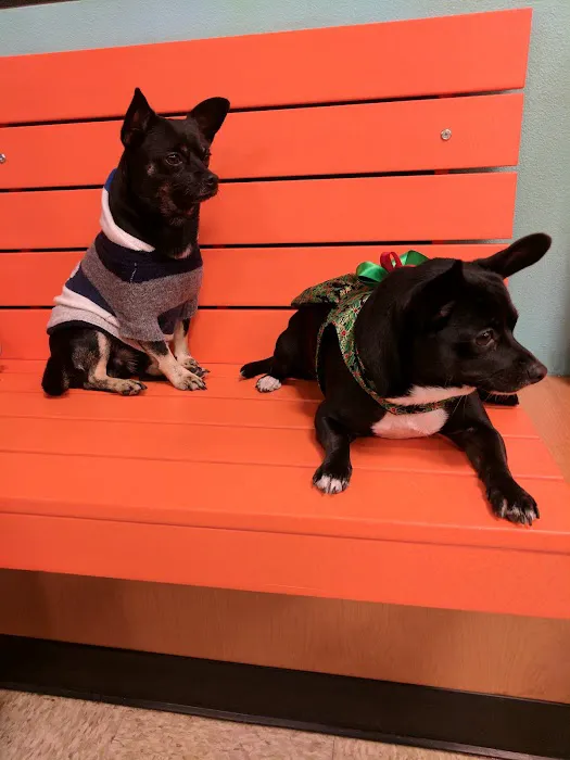 Banfield Pet Hospital 12