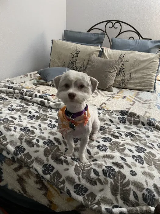 Banfield Pet Hospital 12
