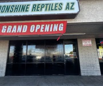 Moonshine Reptiles Arizona LLC