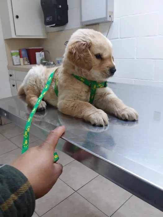 Affordable Animal Hospital: Compton 12