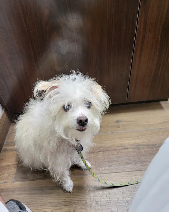 County Line Animal Hospital 12