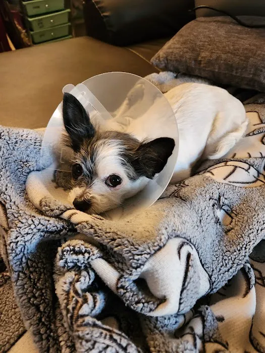 County Line Animal Hospital 12