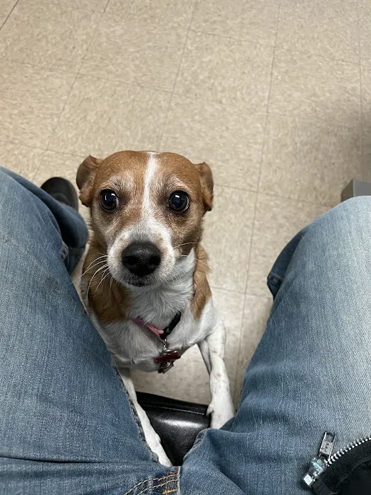 La Habra Animal Hospital 12