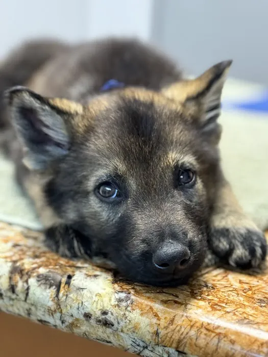 La Habra Animal Hospital 12