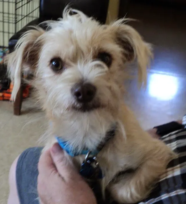 La Habra Animal Hospital 12