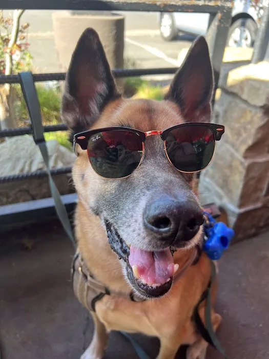 La Habra Animal Hospital 12