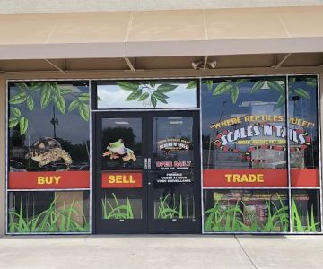 Scales 'N Tails Phoenix West