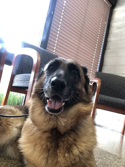 Habra Linda Animal Hospital 12