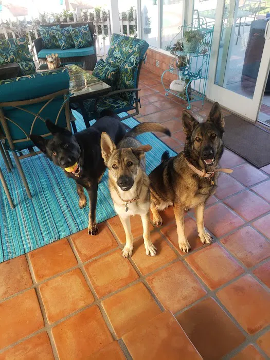 Habra Linda Animal Hospital 12