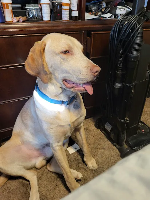 Washington Boulevard Animal Hospital 12