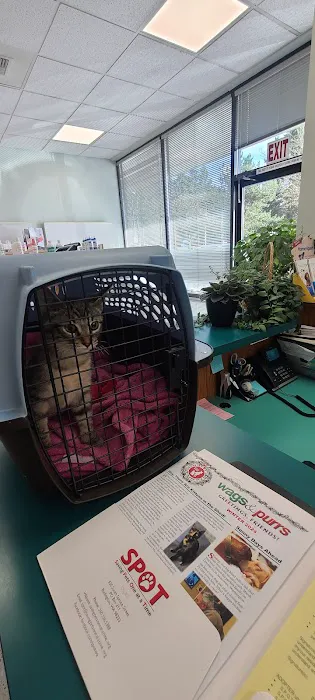 Mill Creek Veterinary Hospital 12