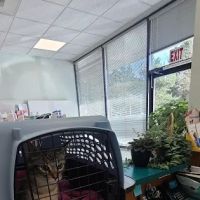 Mill Creek Veterinary Hospital ico