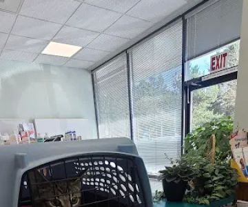Mill Creek Veterinary Hospital