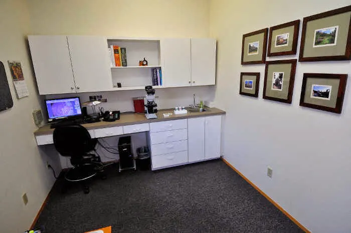Animal Dermatology Clinic 4