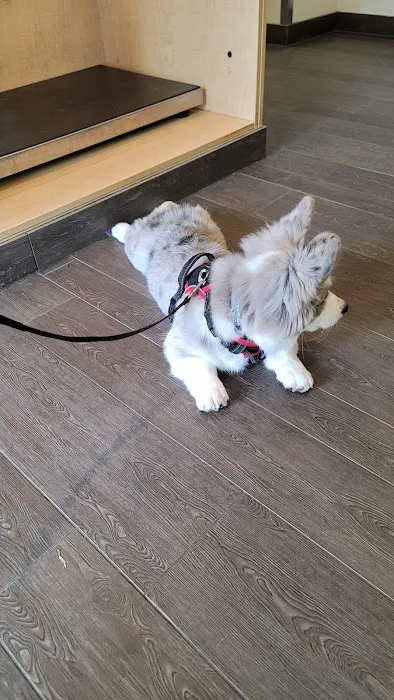 Banfield Pet Hospital 12