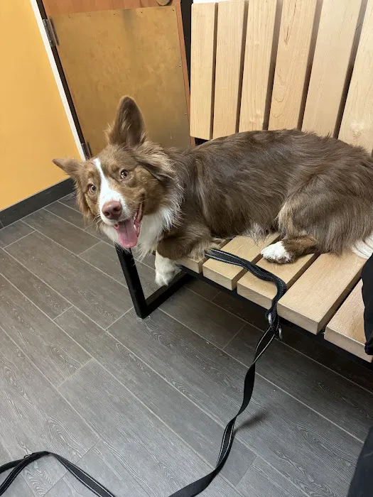 Banfield Pet Hospital 12