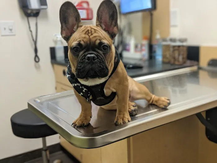 Banfield Pet Hospital 12