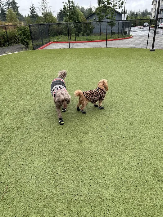 Banfield Pet Hospital 12