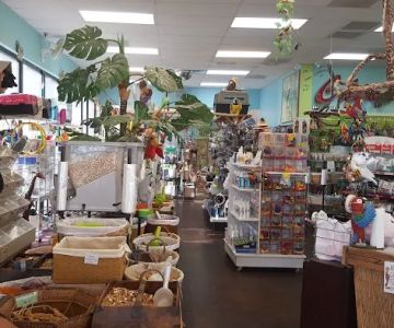 Tropic Zone Exotic Birds