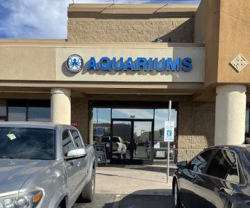 Aquaholic Aquariums LLC