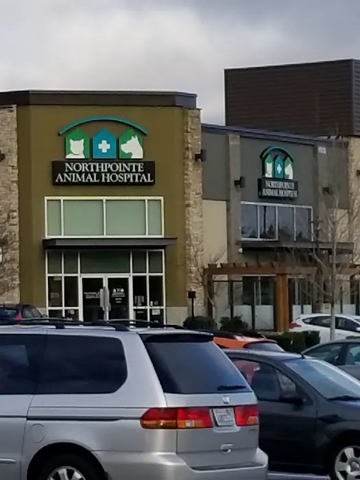 Northpointe Animal Hospital 12