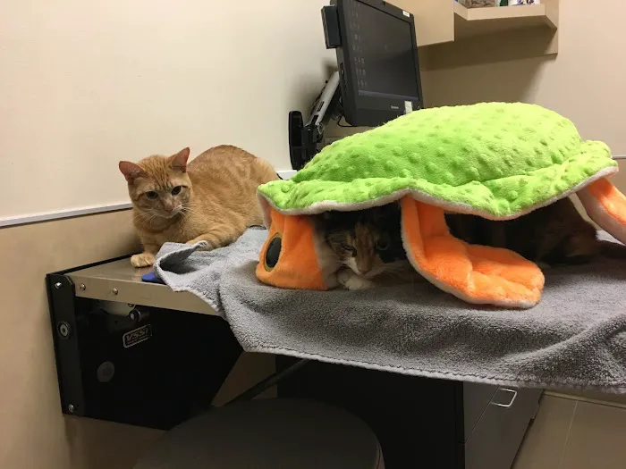 Northpointe Animal Hospital 12