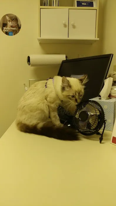 VCA Meadowdale Animal Hospital 12