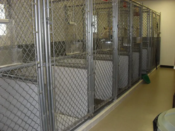 VCA Meadowdale Animal Hospital 12
