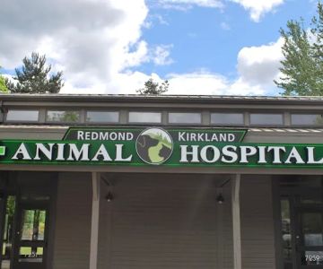Redmond-Kirkland Animal Hospital, A Thrive Pet Healthcare Partner