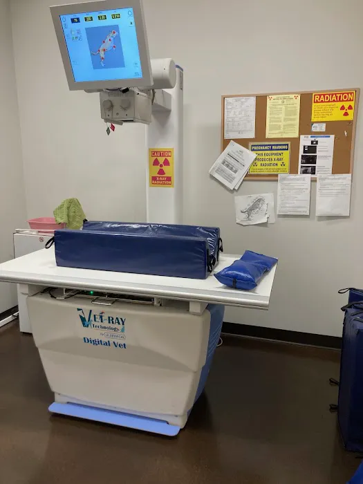 Redmond-Kirkland Animal Hospital, A Thrive Pet Healthcare Partner 12