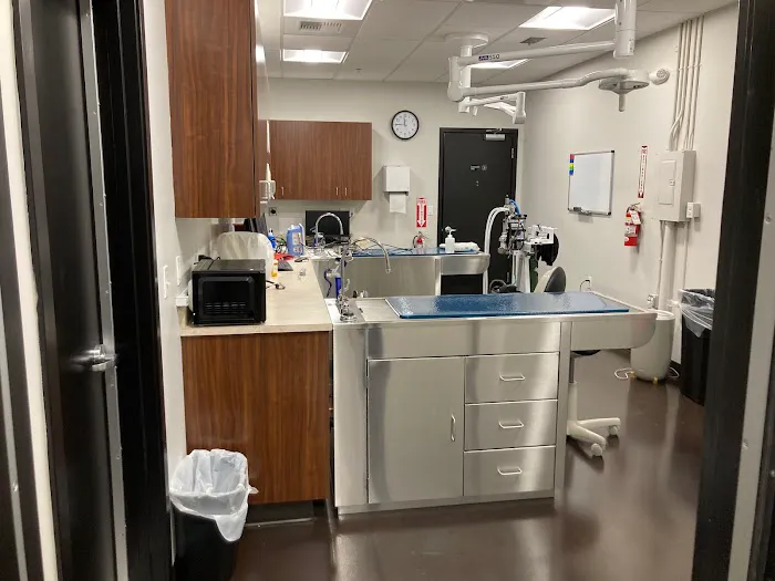 Redmond-Kirkland Animal Hospital, A Thrive Pet Healthcare Partner 12