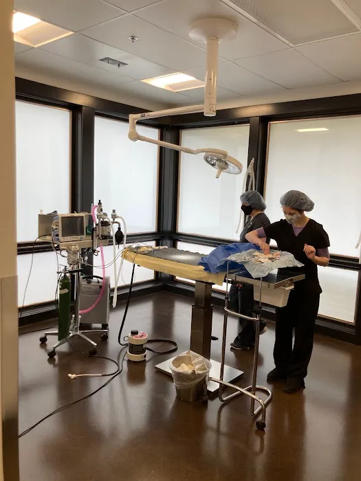 Redmond-Kirkland Animal Hospital, A Thrive Pet Healthcare Partner 12
