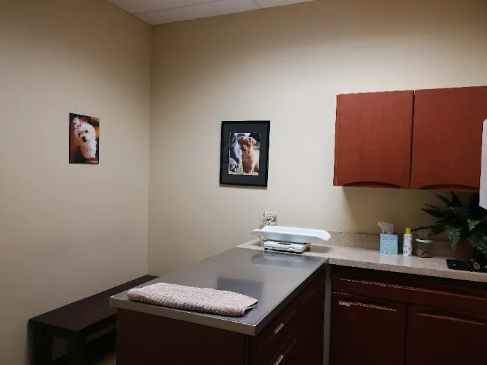 Redmond-Kirkland Animal Hospital, A Thrive Pet Healthcare Partner 12