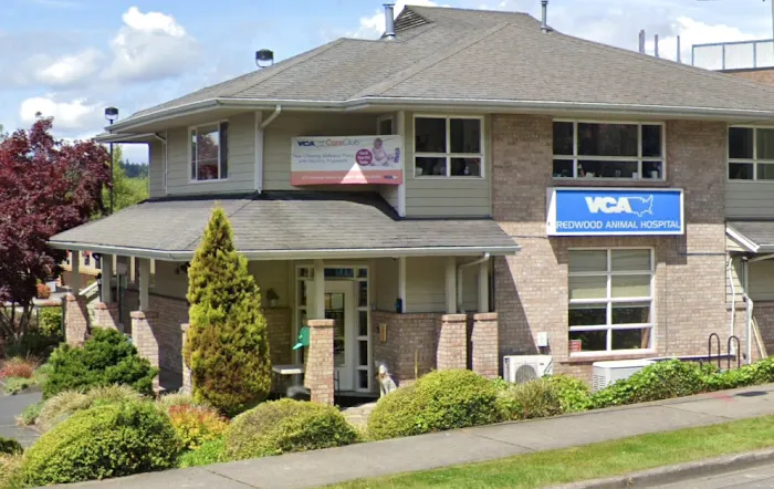 VCA Redwood Animal Hospital 12
