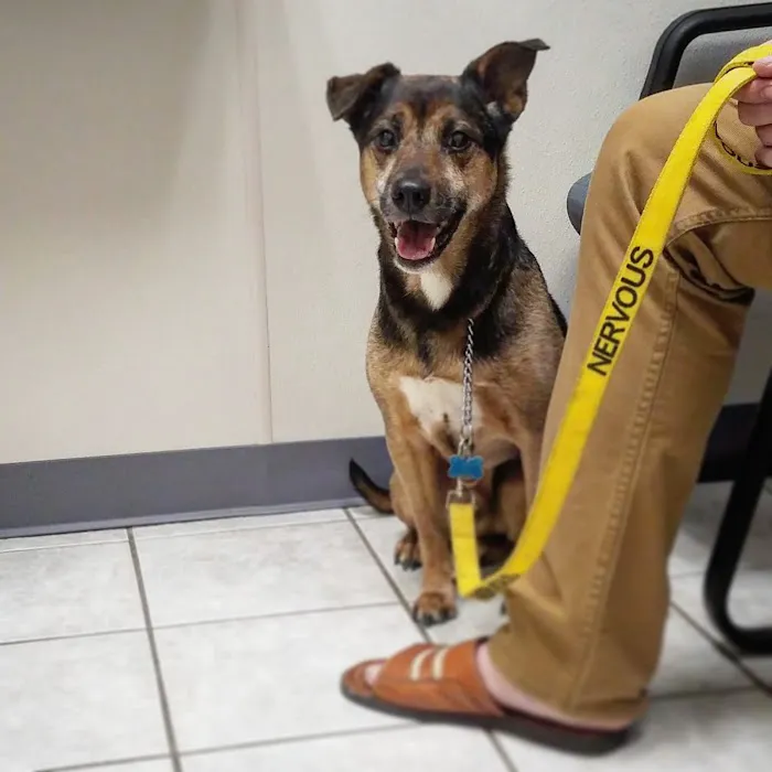VCA Redwood Animal Hospital 12