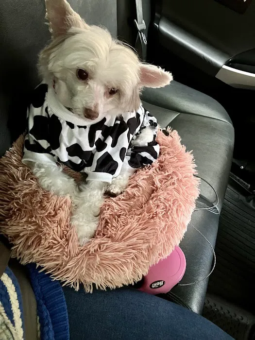 Midlakes Veterinary Hospital 12